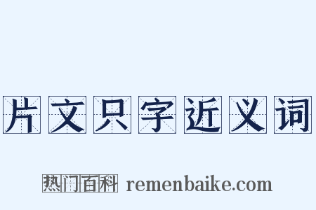 片文只字近义词是什么意思的图片